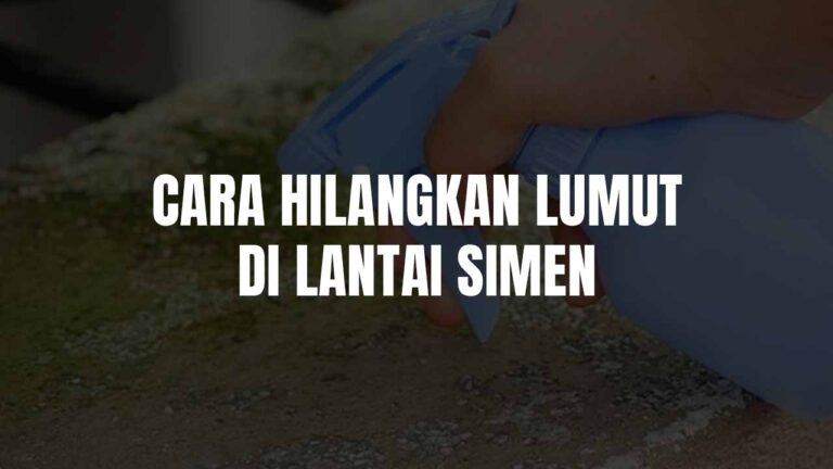 Panduan Cara Hilangkan Lumut di Lantai Simen 1 cara hilangkan lumut di lantai simen