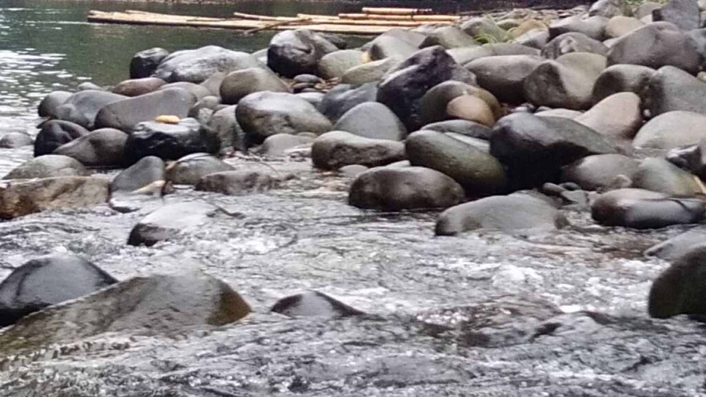 Anggaran Harga Batu Sungai di Malaysia Terkini 2025 2 perkara penting yang mempengaruhi harga batu sungai