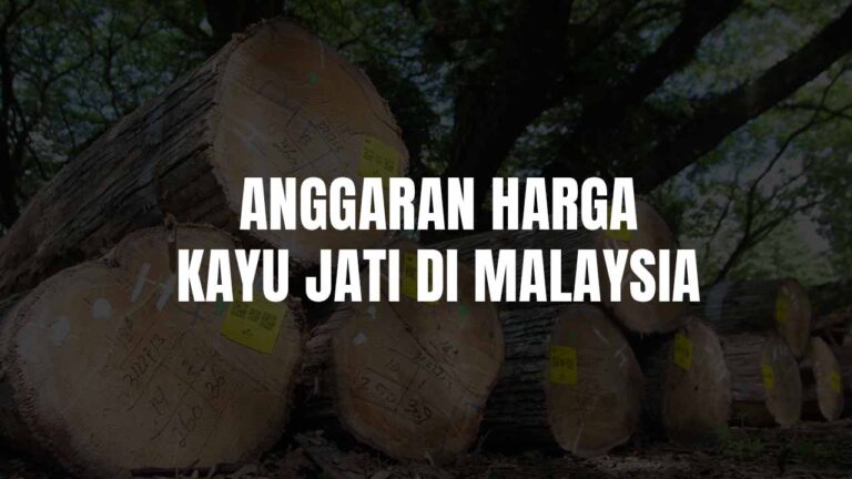 harga kayu jati