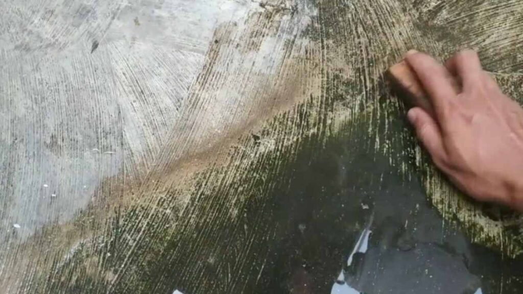 Panduan Cara Hilangkan Lumut di Lantai Simen 2 pelbagai cara tradisional untuk cara hilangkan lumut di lantai simen