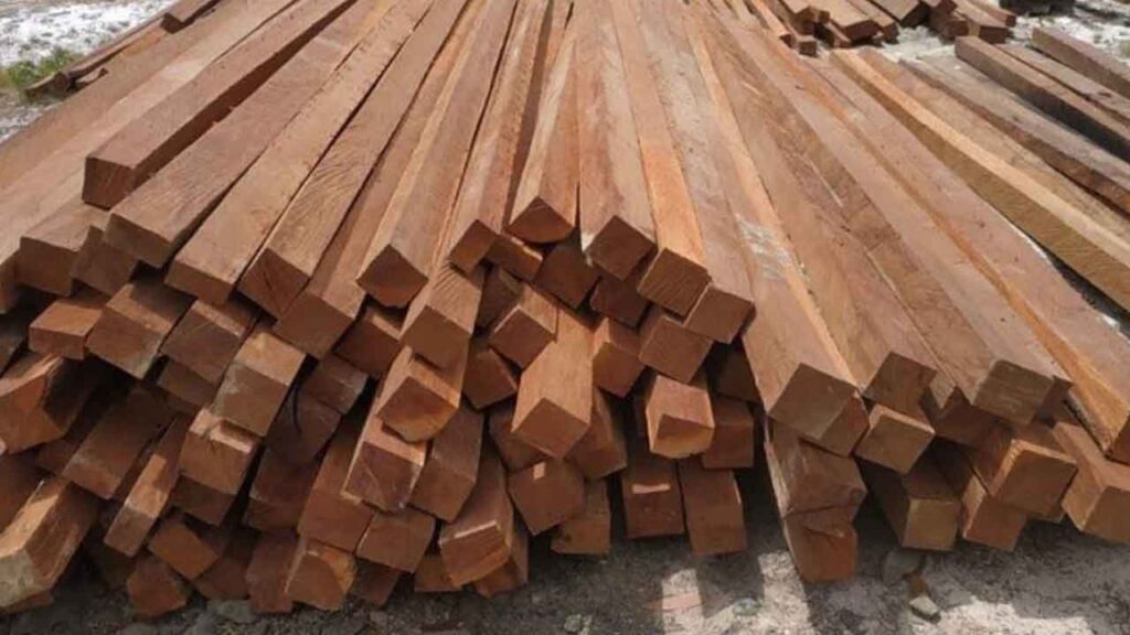 Anggaran Harga Kayu Belian di Malaysia 4 faedah dan kebaikan kayu belian dalam industri tempatan