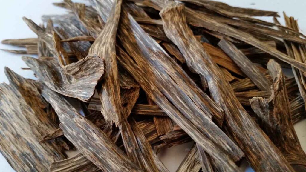 Cara Kira Harga Kayu Gaharu di Malaysia Terkini 4 saluran pembelian kayu gaharu yang boleh dipercayai