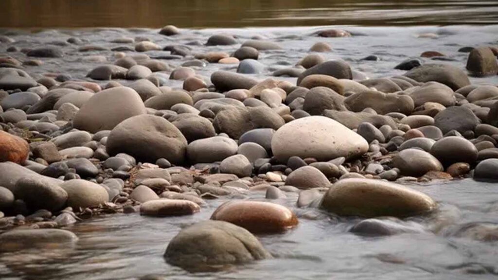 Anggaran Harga Batu Sungai di Malaysia Terkini 2025 4 panduan tips untuk memilih jenis batu sungai mengikut projek